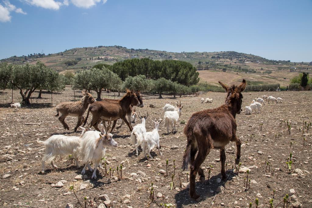Villa Diana Agrigento Buitenkant foto
